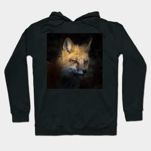 Fox in the shadow Hoodie